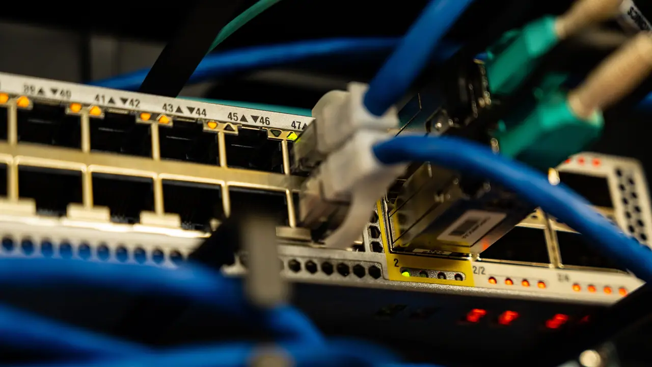 Ethernet cable connected to a router for stable internet connection